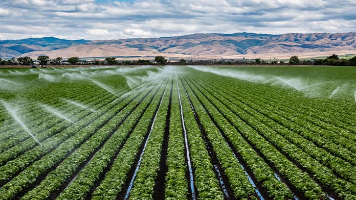 irrigation systems in a field