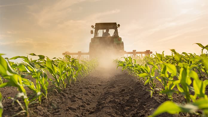 tractor in a field